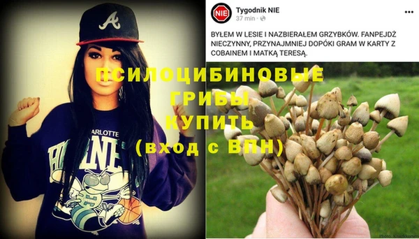 ECSTASY Абинск