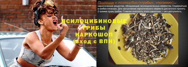бошки Абаза
