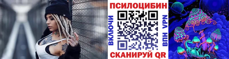 закладка  ссылка на мегу ССЫЛКА  Галлюциногенные грибы Cubensis  Гусиноозёрск 